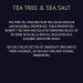 Exfoliating Hair Scalp Scrub with Tea Tree & Sea Salt - Remove Dandruff & Dirt | 8 fl oz - Buy Online on GoSupps.com