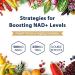 Liposomal NAD+ 500mg with TMG 250mg Soft Capsules - Boost Cell Repair & Energy Metabolism - 3 Pack (60 Pieces) - Premium NAD+ Supplement for Optimal Health - Buy Online on GoSupps.com