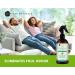 Kate Naturals Peppermint Air Freshener Spray (2 Pack) - Odor Eliminator & Fabric Refresher with Essential Oils for Pillows, Linen, and Room - Minty Fresh Aroma - Buy Online on GoSupps.com