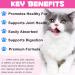 Liquid Collagen for Cats - Shiny Coat & Healthy Skin Joint & Digestive Support - Salmon Flavor 60ml - Buy Online on GoSupps.com