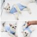 WDEC Cat Professional Recovery Suit | E-Collar Alternative for Cats & Dogs | Post-Surgery Wear | Prevent Shedding | Skin Diseases | Abdominal Wounds | Pajama Suit | S Blue - Buy Online on GoSupps.com
