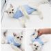Buy WDEC Katzenbody for Cat Recovery | Anti-Trolley Body Suit for Skin Disease & Post-Surgery | Comfortable Cat Clothing (L Blue) - Ideal for Cats & Dogs - Buy Online on GoSupps.com