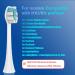 Sonicare Replacement Heads - Compatible Philips Sonicare Click-on/Snap-on Electric Toothbrush Brush Heads | KD-F924 - Buy Online on GoSupps.com