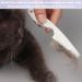2 Packs Pet Flea Combs Dog Flea Comb Pet Hair Comb for Dogs and Cats Comb Multifunctional Pet Hair Comb Tear Stain Removal for Grooming and Dehairing Face and Paws - Buy Online on GoSupps.com