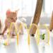 Mesh Tunnel for Cats | Foldable Fun Interactive Tunnel for Indoor Cat Play with Teasing Toys - Whisker Twist Cat Spring Toy Cat Tubes for Large Cats Small Bunnies Kittens and Small Dogs Cypreason Yellow - Buy Online on GoSupps.com