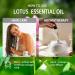 Geranium Essential Oil 4 Fl Oz and Lotus Essential Oil 4 Fl Oz - ZODION Geranium & Lotus Oil for Diffuser Aromatherapy Home Fragrance Skin & Hair Care DIY Candle & Soap Making Yoga - Buy Online on GoSupps.com