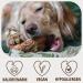 Petlove Natural Chewing Roots for Medium Dogs with Olive Oil - 100% Natural Chewing Wood & Minerals | Perfect for Healthy Chewing (301-500g) - Buy Online on GoSupps.com