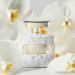 Oscar de la Renta Bella Blanca Eau de Parfum 3 Piece Gift Set for Women - Perfume Spray 3.4 Fl. Oz & 1.0 Fl. Oz. and Body Lotion 3.4 Fl. Oz. - Buy Online on GoSupps.com