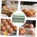 Ciieeo For Egg Fridge -layer Side Case Organizer Kitchen Holder Refrigerator Rack Space Household Home 25.2X19.5CM As Shown 1 - Buy Online on GoSupps.com