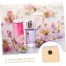 Solustre Wooden Storage Box for Essential Oils & Jewelry - Organizer for Beads & Bottles - Buy Online on GoSupps.com