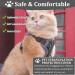 Fineasy Adjustable Cat Dishes & Leash Set - Outbreak-Proof Harness for Cats & Kittens - Gray Medium - Buy Online on GoSupps.com