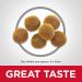 Hill's Science Diet Adult Dry Cat Food - Chicken Recipe for Healthy Growth & Energy - Buy Online on GoSupps.com