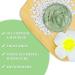 ANAI RUI Green Tea Clay Mask for Poreless Cleanse, Blackhead Remover with Kaolin, Aloe & Collagen - Pore Minimizer, Hydrating Face Mask 4.05OZ - Buy Online on GoSupps.com