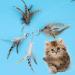 MWOOT 6pcs Cat Feather Toys with Bells Feather Toys Spinning Attachment for Indoor Cats and Kitten Catcher Replacement Feather Refills with Bells Feather Cat Toys for Playing Catcher and Exercising - Buy Online on GoSupps.com