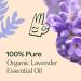 Plant Therapy Organic Lavender Essential Oil 10 mL (1/3 oz) 100% Pure Pre-Diluted Roll-On Soothing Aromatherapy for Deep Sleep and Relaxation - Buy Online on GoSupps.com