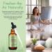 Rosemary Oil for Hair Growth Rosemary Oil for Skin Face 100% Pure Natural Improved Hair Growth Nourishes Scalp Rosemary Hair Oil For Men Women - Buy Online on GoSupps.com