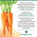 40 Carrots Vitamin C Serum - Hydrates, Brightens & evens Skin Tone | Reduces Fine Lines & Wrinkles - USA Made, Paraben & Cruelty Free - 1oz - Buy Online on GoSupps.com