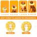 Suplutux Inflatable Hinge Dog & Cat Collar - Comfortable Recovery Collar for Dogs and Cats | Adjustable Leak Protection | Non-Blocking View - Size M Yellow - Buy Online on GoSupps.com