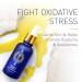 Brush On Block Nobody's Perfect Daily Repair Face Oil - Hydrating & Nourishing Skincare for All Skin Types | Shop Internationally - Buy Online on GoSupps.com