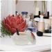 UTHCLO 1pc Porcelain Jar Lip Balm Jar Empty Lotion Jars Mini Cosmetic Container Ceramic Tea Canister Porcelain Tea Tin Powder Makeup Cosmetic Jar Ceramics Cosmetic Box Travel Red Vintage - Buy Online on GoSupps.com