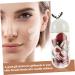 Buy minkissy 3 Sets Makeup Sponges - Ultra Soft Blending & Powder Puffs for Flawless Makeup Finish | International Shipping Available - Buy Online on GoSupps.com