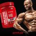 Activlab Creatine Monohydrate 500g - Chewing Gum Flavor | 83 Portions | 4.5g Creatine | Power & Endurance | For Bodybuilders & Athletes | 3x Lab Tested | Includes Measuring Cup - Buy Online on GoSupps.com