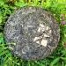 HELLOYOUNG 357g Galette de th Pu'er naturel du Yunnan Frit la main selon la tradition sans additifs pour des saveurs intenses - Buy Online on GoSupps.com
