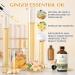 EVOKE OCCU Lemongrass Essential Oil and Ginger Essential Oil - 4 Fl Oz - Buy Online on GoSupps.com