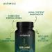 Brahmi Capsules 500mg - High Strength Nootropic for Memory & Focus - 60 Capsules - Buy Online on GoSupps.com
