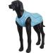 Rukka Pets Chilly UV-Protection T-Shirt for Dogs - Light Blue MM | Shop Internationally - Buy Online on GoSupps.com