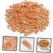 Alipis 3pcs 1 Grill Playset Artificial Groundnut Kernels Japanese Decor Peanut Kernels Prop Artificial Nut Model Simulated Nut Food Toy Toys Whole Grains Pvc Artificial Flowers - Buy Online on GoSupps.com