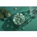 Xiannvxi 20pcs Green Aventurine Crystal Heart Stones - Natural Gemstones for Healing & Reiki | Love Palm Bag Stones - Buy Online on GoSupps.com