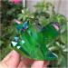 Natural Crystal Rough Green Aura Crystal Cluster Angel Aura Titanium Quartz Crystal Stunning Rainbow Specimen Minerals Reiki Decoration (Size : 180-200g) - Buy Online on GoSupps.com
