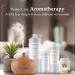 Balsam & Cedar Fragrance Oil 8 fl. oz - Ideal for DIY Soap Candles Bath Bombs & Aromatherapy - Premium Scented Oil for Lotions & Creams - Buy Online on GoSupps.com