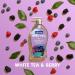 Softsoap Liquid Hand Soap - White Tea & Berry Fusion | 11.25 Fl Oz | Moisturizing & Refreshing Clean | Pack of 1 - International Shipping Available - Buy Online on GoSupps.com
