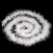Dxhycc 2 Yards Marabou Feather Boa - White, 20g for Crafts, Weddings, Halloween, Christmas Decor - Buy Online on GoSupps.com