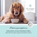 Annimally Bronchial Liquid for Dogs - Bronchial Plus 100ml | Natural Herbal Formula with Thyme Echinacea & Sage for Healthy Airways - Buy Online on GoSupps.com