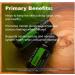 Buy doTERRA Basil Essential Oil 15 mL - Pure & Natural | International Shipping Available - Buy Online on GoSupps.com