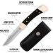 Buck Knives 110 Folding Hunter Knife with Brass Bolsters and Ebony Handles | 3-3/4 420HC Blade | Includes Leather Sheath - Buy Online on GoSupps.com