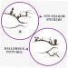 Healeved 4 Pairs Halloween Temporary Eyeliner Stickers Stickers Eyeshadow Temporary Eyeliner Decals - Buy Online on GoSupps.com