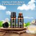 NEWYID Aromatherapy Diffuser with 5 Essential Oils, Flame Light, 3 Mist Modes, 4 Timers, Waterless Auto-Off, Dark Wood Essential Oil Diffuser for Home - Buy Online on GoSupps.com