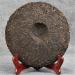 Th Puerh m r biologique Th Puerh vieilli Th noir Pu-erh rouge terne Arbre antique 357g - Buy Online on GoSupps.com