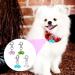 KALIONE 4 Packs Bells for Dog Cat Collars Stainless Steel Bell Training Charm Pendants Small Pet Bells Pendant Accessories with Snap Clips for Dog Cat Pets Necklace Collar DIY Keychains Crafts Making - Buy Online on GoSupps.com