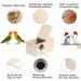 Wooden Parakeet Nesting Box with Coconut Fiber Toy - Ideal for Cockatiel Lovebirds Budgie Finch Canary - 7.8x4.8x4.8 - Buy Online on GoSupps.com