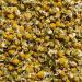 Buy Organic Chamomile Flowers Tea 1kg (2x500g) - High Quality EU Certified - Bottled in Germany - Biotiva - Buy Online on GoSupps.com