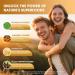 Moringa Capsules 10-in-1 Superfood Supplement Turmeric Curcumin, Bromelain & Black Pepper Supports Mobility & Recovery, Energy, Digestion, Immunity & Skin Vitality Vegan, Non-GMO, Gluten-Free 60 Count (Pack of 1) - Buy Online on GoSupps.com