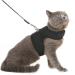 PUPTECK Soft Mesh Cat Vest Harness and Leash Set Puppy Padded Pet Harnesses Escape Proof for Cats Small Dogs Rabbits Bunny X-Large Black