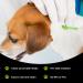 Or. Tick Remover Tool 3 Pcs Dog Tick Remover Tools for Dogs Cats Horses Rabbits Guinea Pigs and Humans Painless Cat Tick Removal Tool with Flea Comb (Green Tick Green) Green Tick Green - Buy Online on GoSupps.com