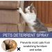 Natural Cat Retention Spray | A/R Scratch Spray for Cats | 50ml Effective Training Aid for Furniture & Plants - Buy Online on GoSupps.com
