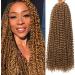 Passion Twist Hair 7 Packs 24 Inch Water Wave Crochet Hair for Long Bohemian Hair BraIding Hair Yddm Passion Twist Crochet Hair Synthetic Hair Extensions 27# Passion Twist Crochet Hair Pre Twisted 27# 24inch (7 Pack)